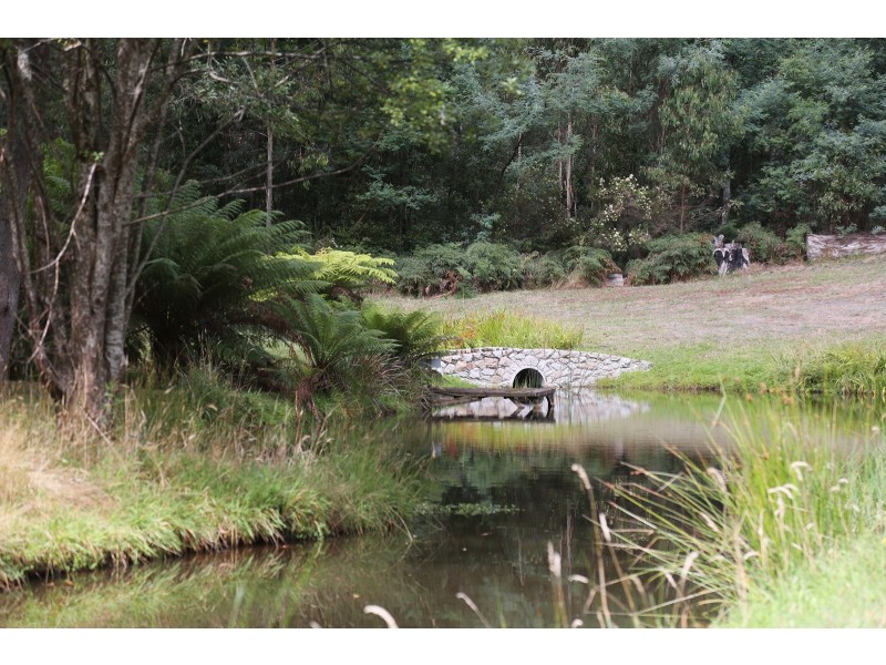 69 Williams Lane, Buxton VIC 3711