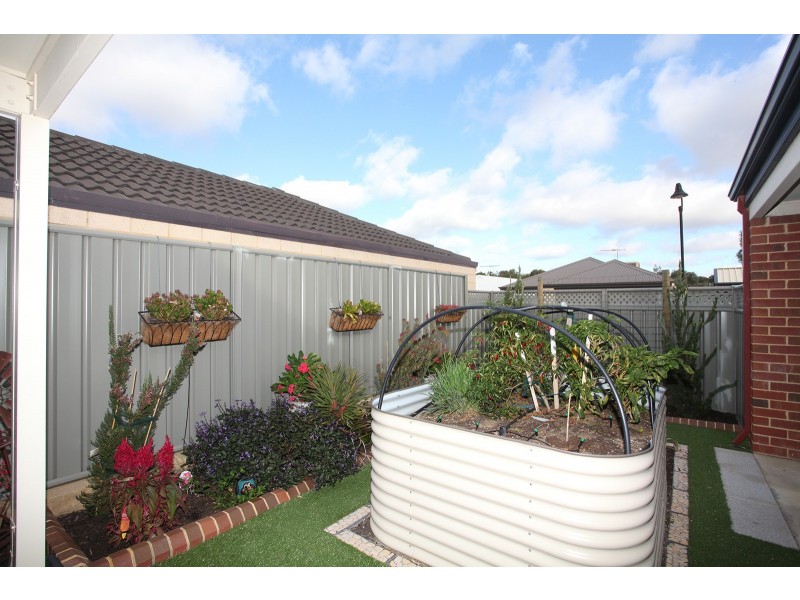 16 Thaxted Street, Wellard WA 6170