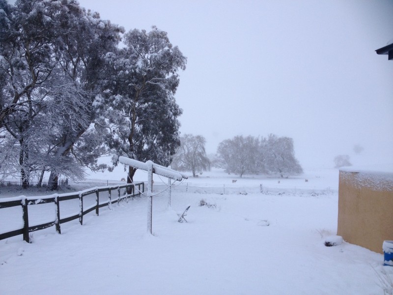 100 Sykes Lane, Blayney NSW 2799