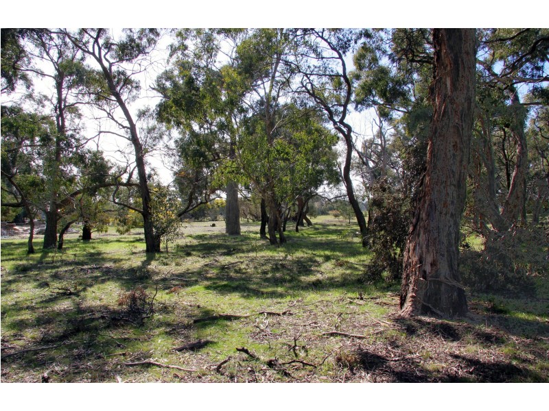 Black Range VIC 3381