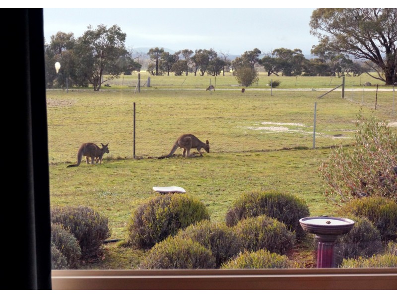 Black Range VIC 3381