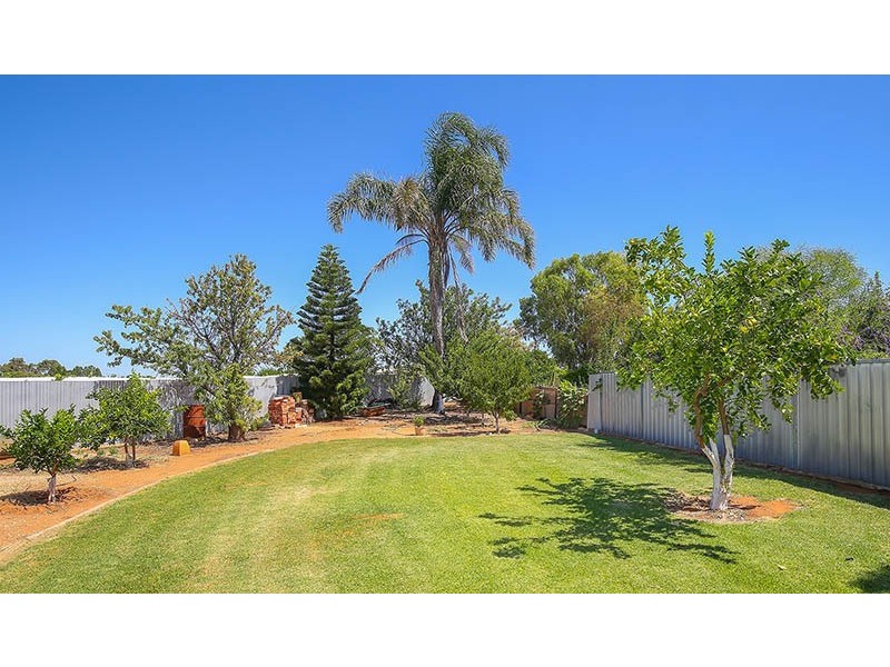 Birdwoodton VIC 3505