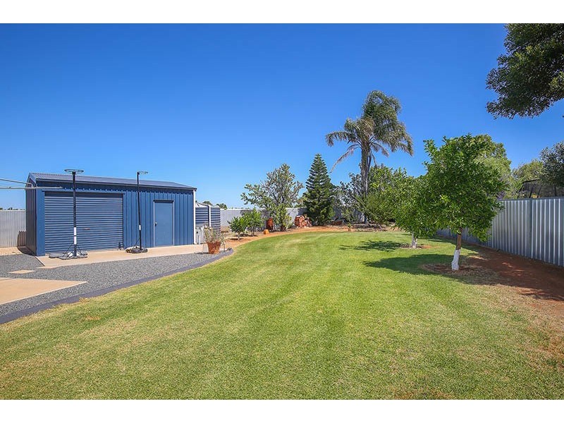 Birdwoodton VIC 3505