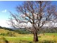 35 Cougal Road, Carool NSW 2486
