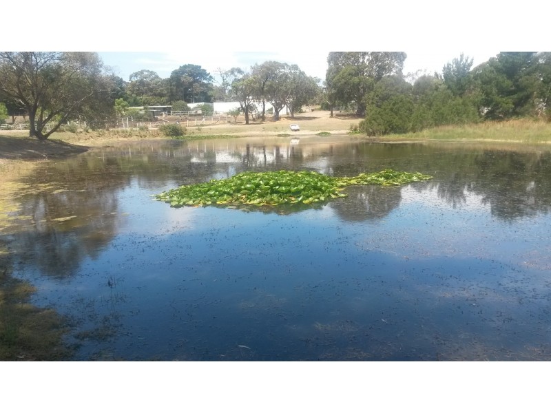 550 Moorooduc Highway, Mount Eliza VIC 3930