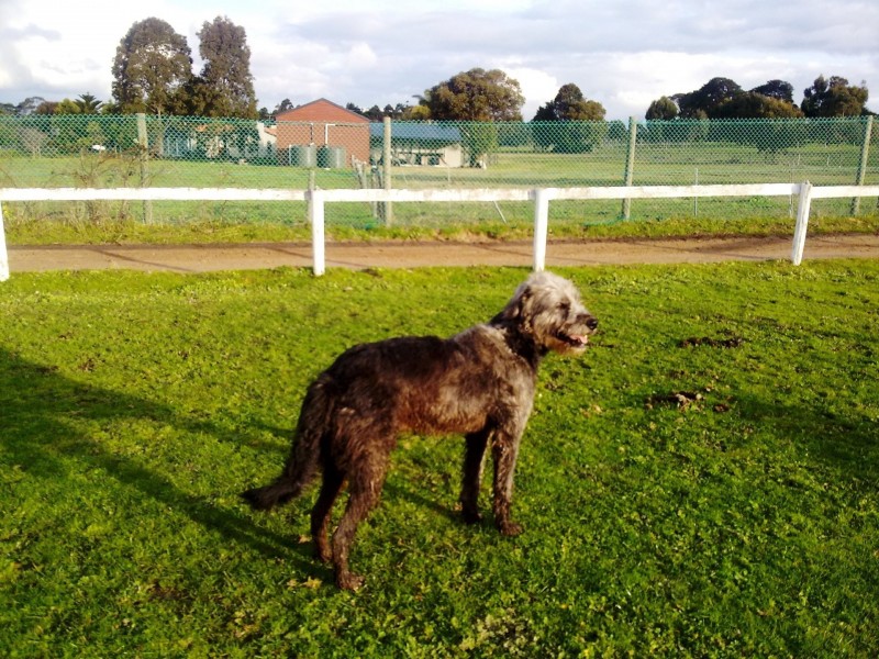 550 Moorooduc Highway, Mount Eliza VIC 3930