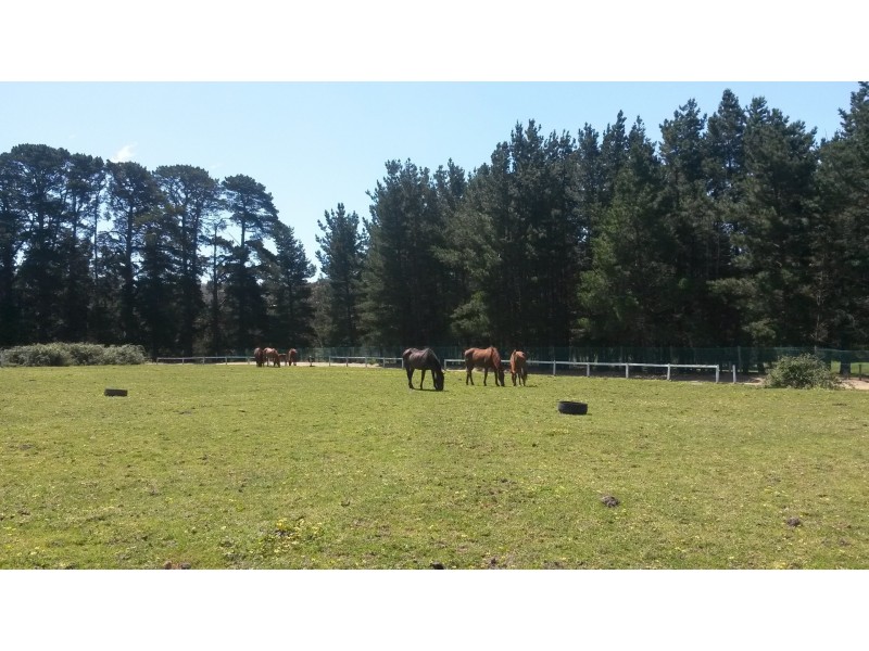 550 Moorooduc Highway, Mount Eliza VIC 3930