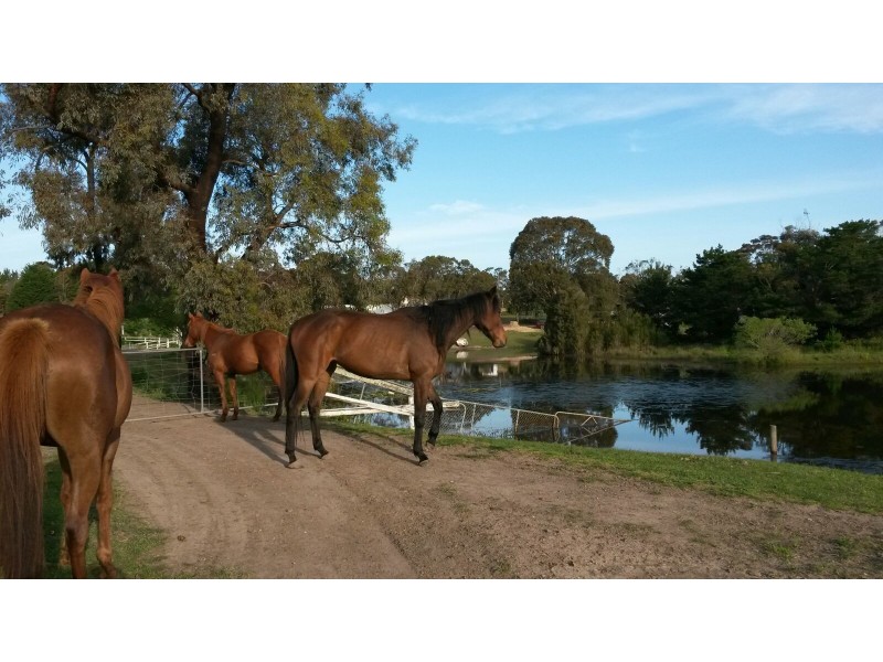 550 Moorooduc Highway, Mount Eliza VIC 3930