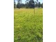 Lot 69 Montpelier Grove Estate, The Oaks NSW 2570