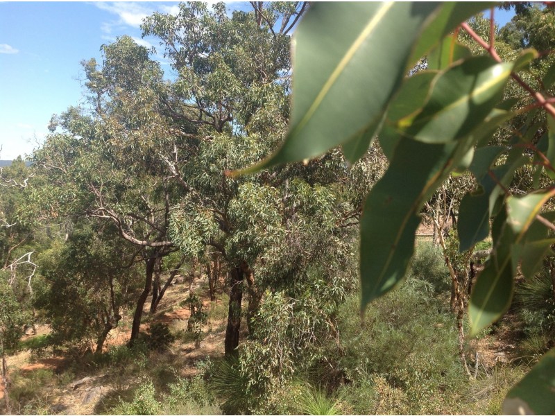 8 Allestree Road, Darlington WA 6070