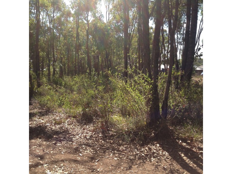 59 Westfield  St, Rocky Gully WA 6397