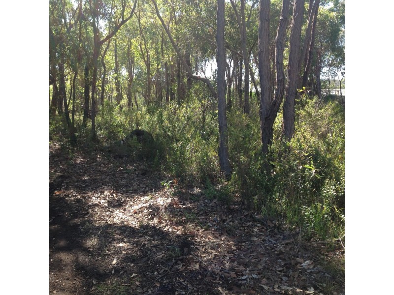 59 Westfield  St, Rocky Gully WA 6397