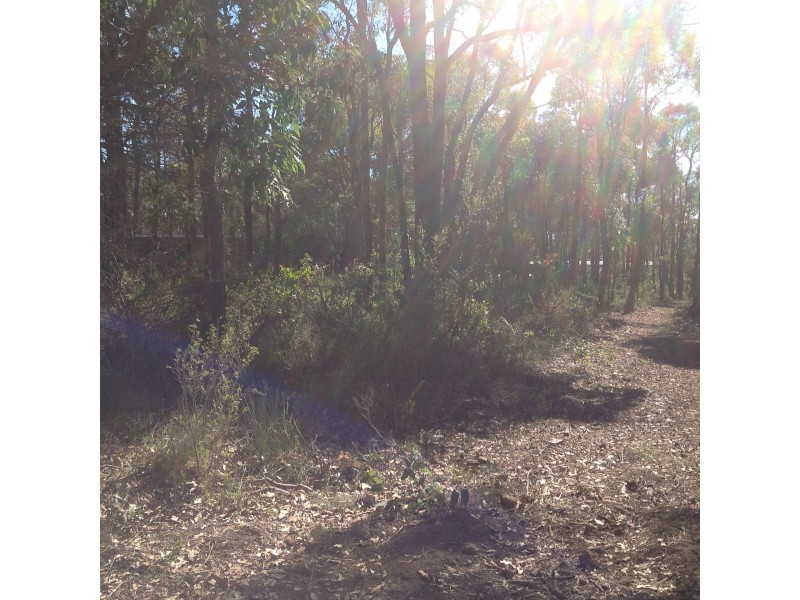 59 Westfield  St, Rocky Gully WA 6397