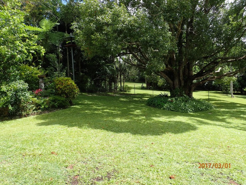 68 Dowling Close, Malanda QLD 4885