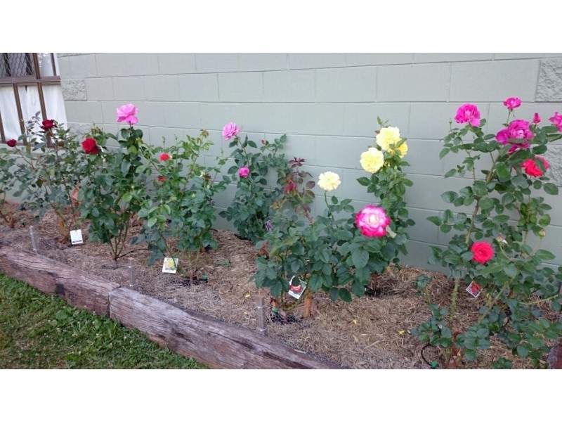 68 Dowling Close, Malanda QLD 4885