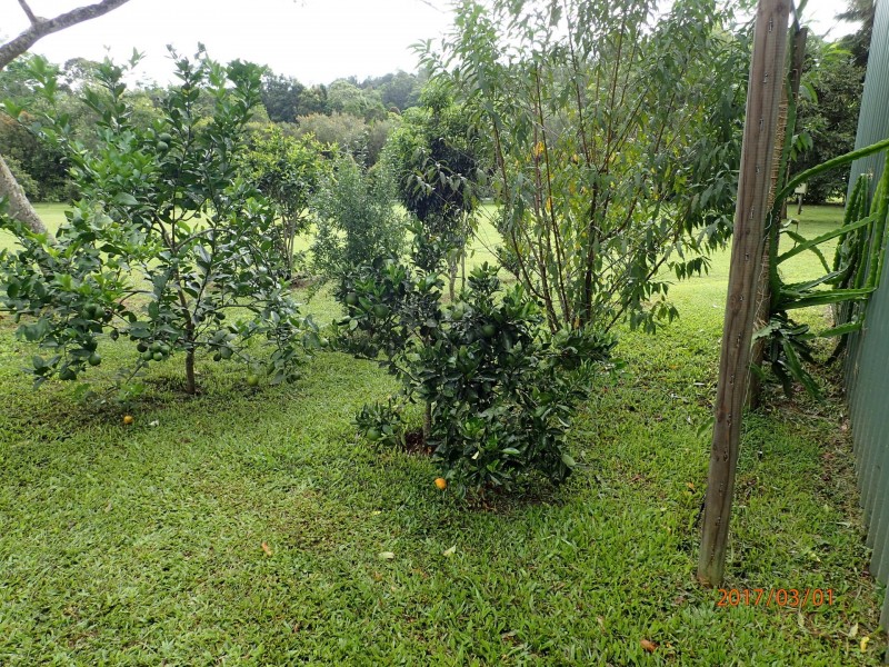 68 Dowling Close, Malanda QLD 4885