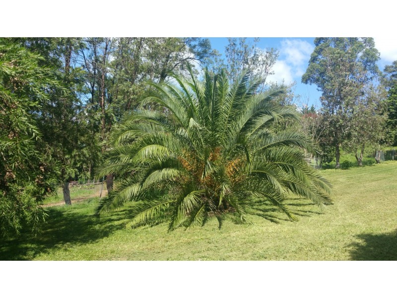 102a Moss Vale Rd, Kangaroo Valley NSW 2577