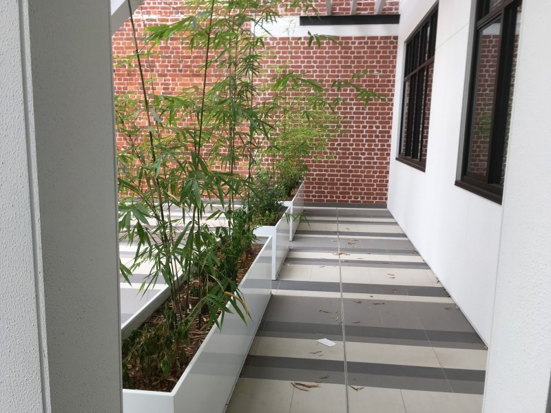 36 Queen Victoria Street, Fremantle WA 6160