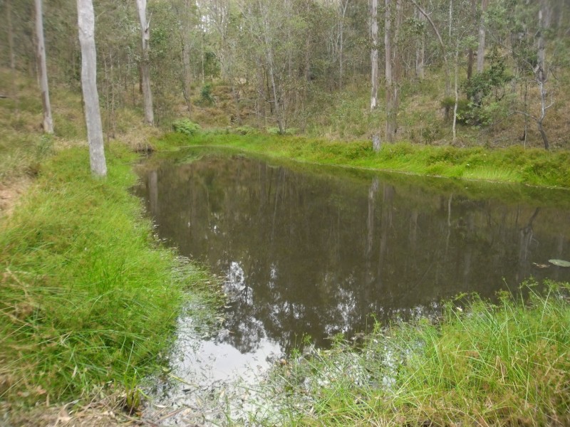 170 Lynwood Drive, Guanaba QLD 4210