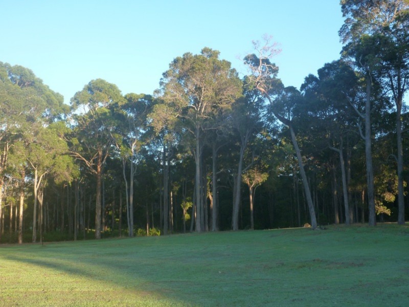 Lot 15, 10 Hogan Place, Witchcliffe WA 6286