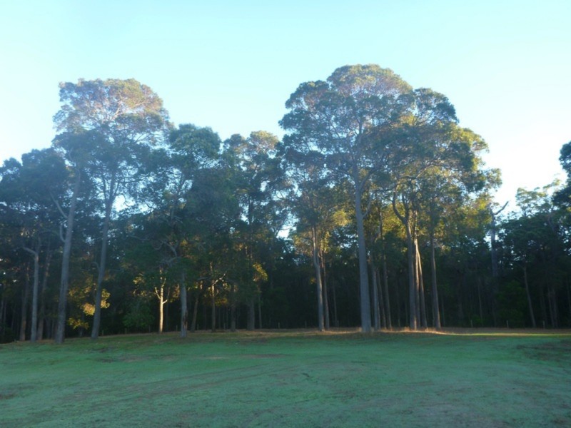 Lot 15, 10 Hogan Place, Witchcliffe WA 6286
