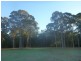 Lot 15, 10 Hogan Place, Witchcliffe WA 6286