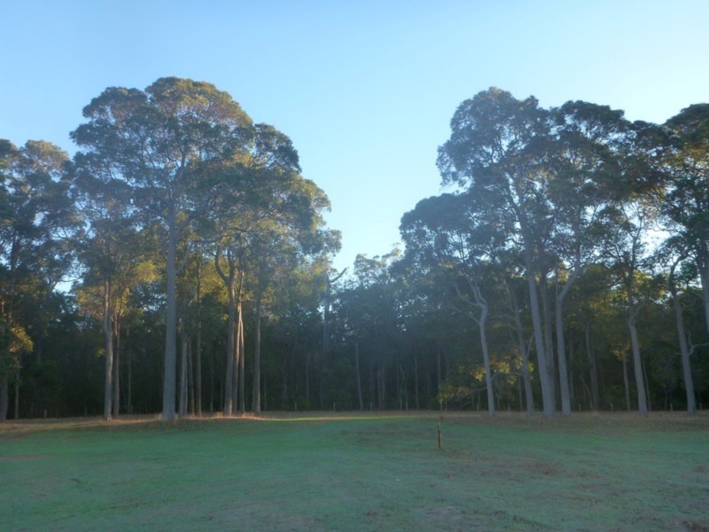 Lot 15, 10 Hogan Place, Witchcliffe WA 6286