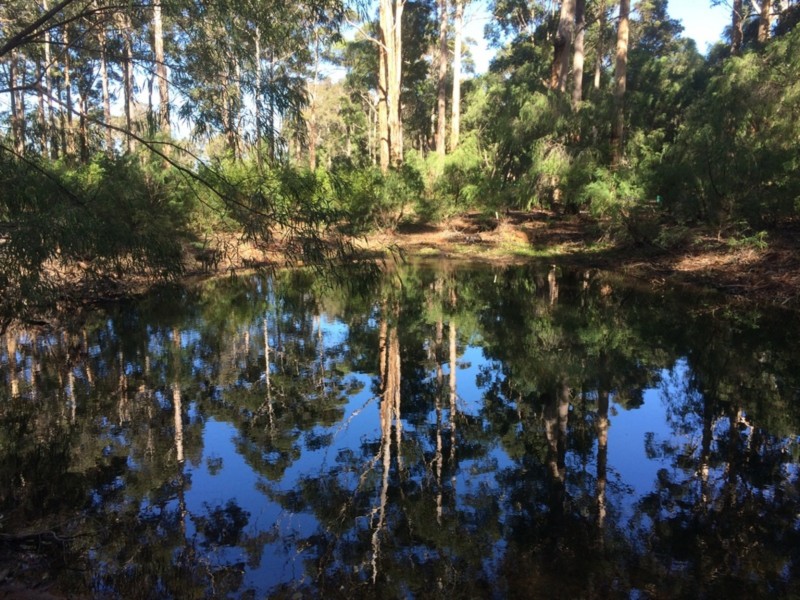 Lot 15, 10 Hogan Place, Witchcliffe WA 6286