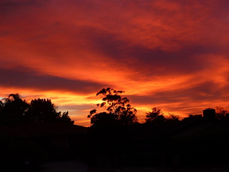 Lot 15, 10 Hogan Place, Witchcliffe WA 6286