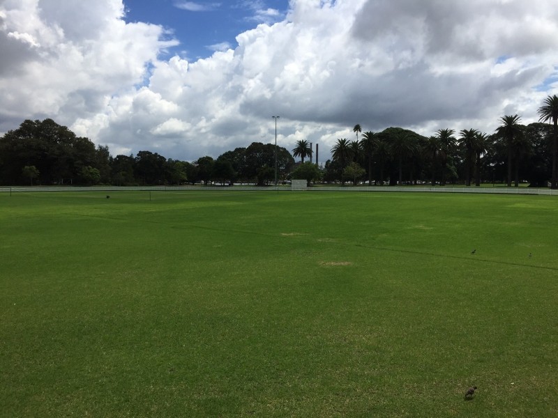 2501/7 Scotsman Street, Forest Lodge NSW 2037