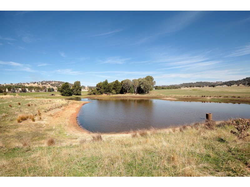 1184 Gregadoo East Road, Gregadoo NSW 2650