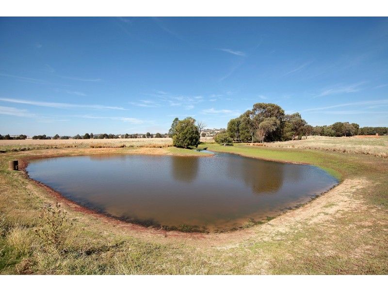 1184 Gregadoo East Road, Gregadoo NSW 2650