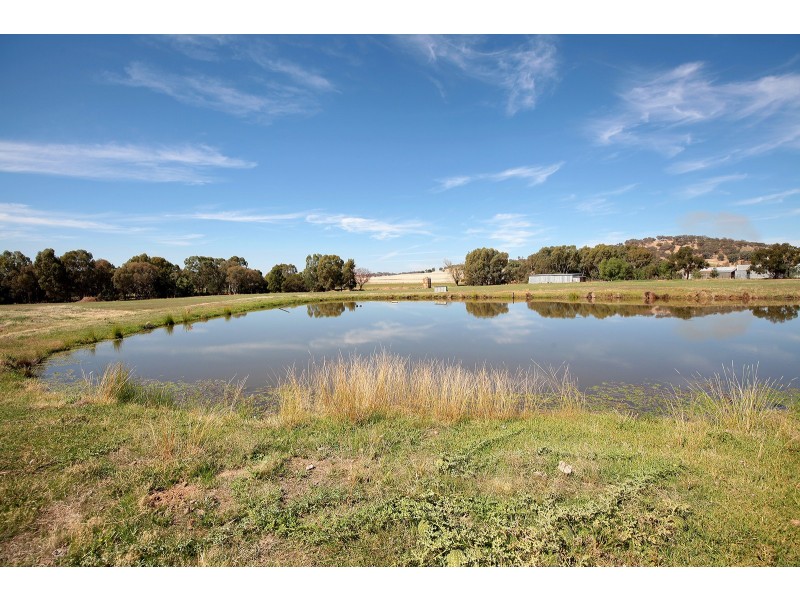 1184 Gregadoo East Road, Gregadoo NSW 2650