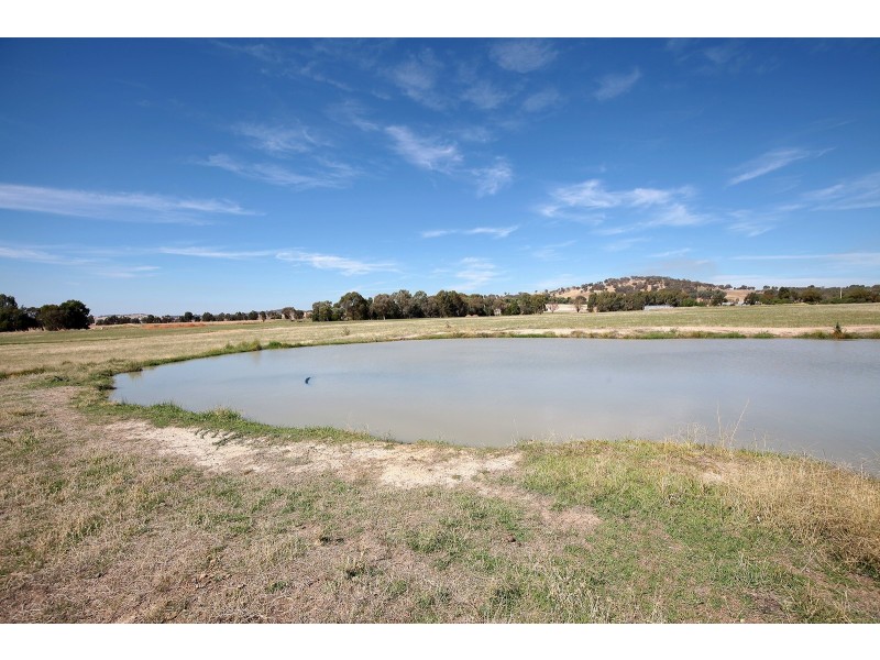 1184 Gregadoo East Road, Gregadoo NSW 2650