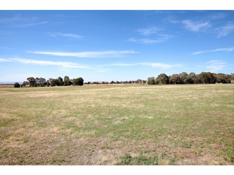 1184 Gregadoo East Road, Gregadoo NSW 2650