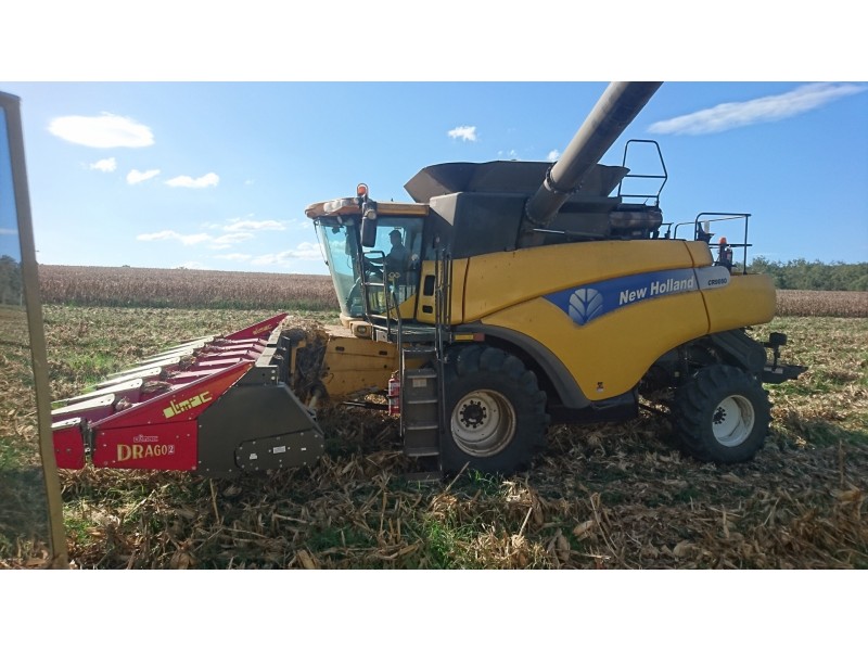 491 Delan Rd, Delan QLD 4671