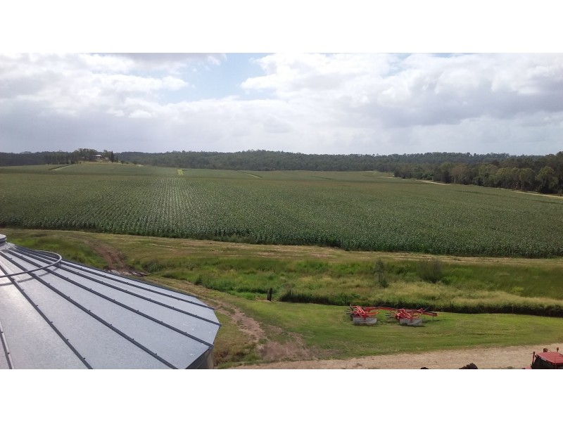 491 Delan Rd, Delan QLD 4671