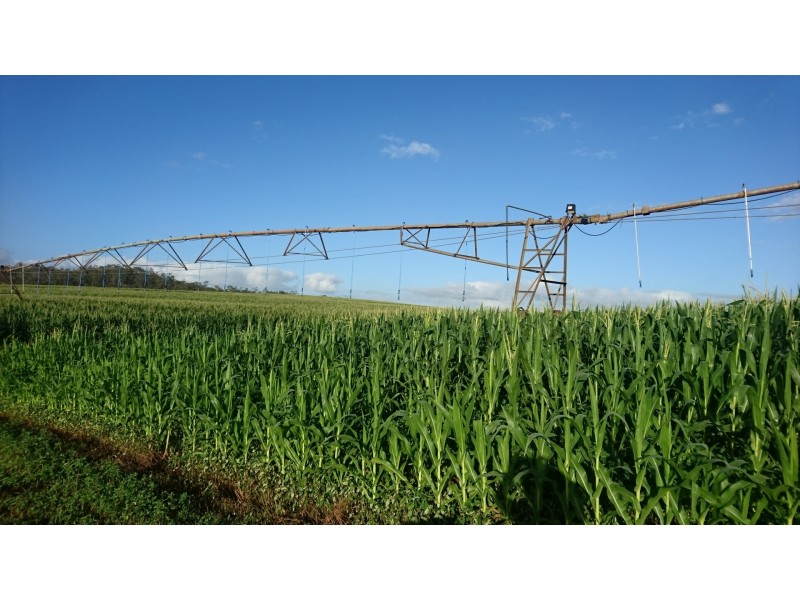 491 Delan Rd, Delan QLD 4671