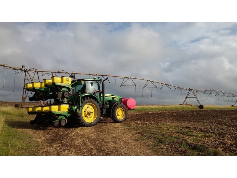 491 Delan Rd, Delan QLD 4671