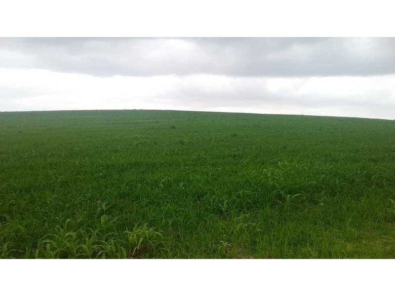 491 Delan Rd, Delan QLD 4671