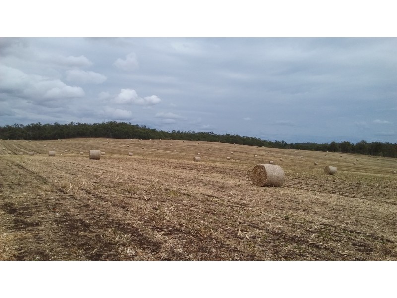 491 Delan Rd, Delan QLD 4671