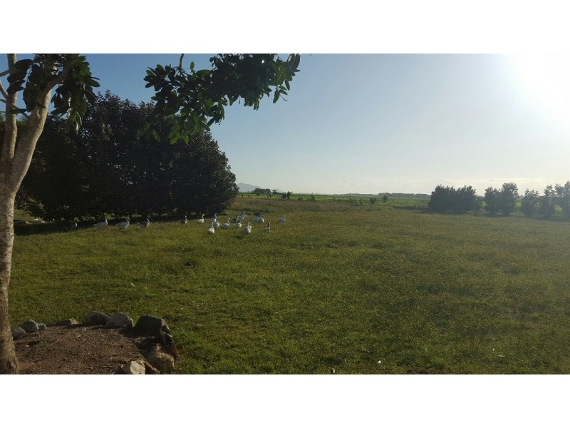Lot 1 868 Stone River Road, Peacock Siding QLD 4850