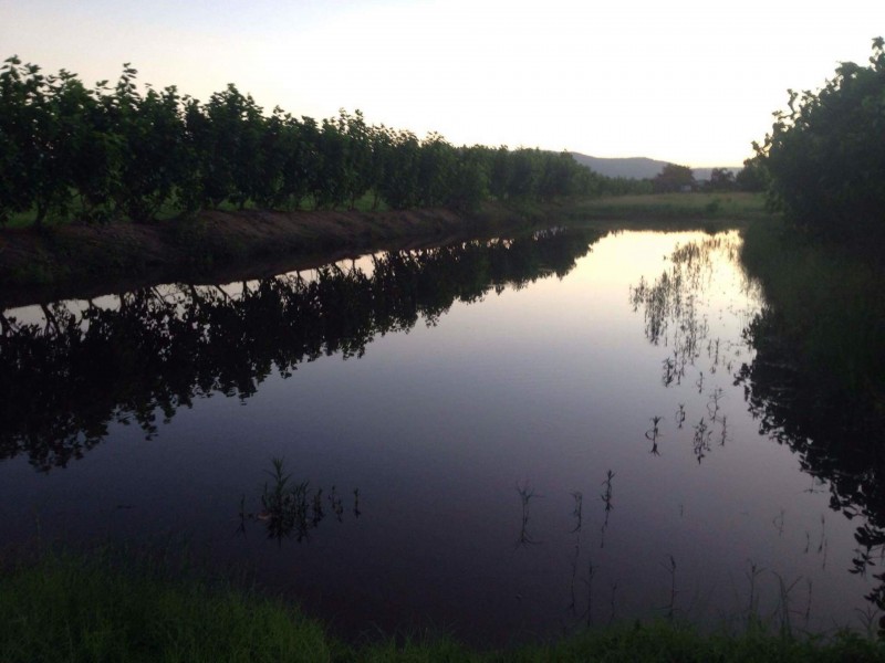 Lot 1 868 Stone River Road, Peacock Siding QLD 4850