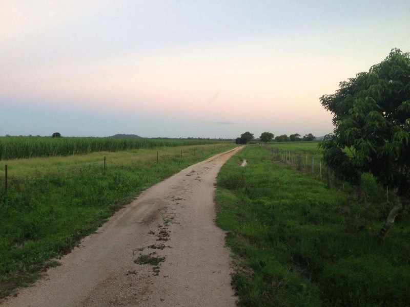 Lot 1 868 Stone River Road, Peacock Siding QLD 4850