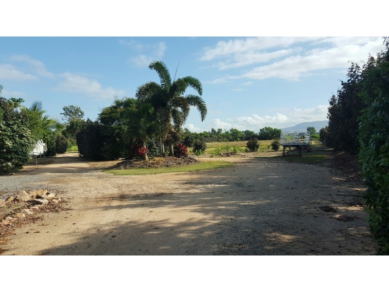 Lot 1 868 Stone River Road, Peacock Siding QLD 4850