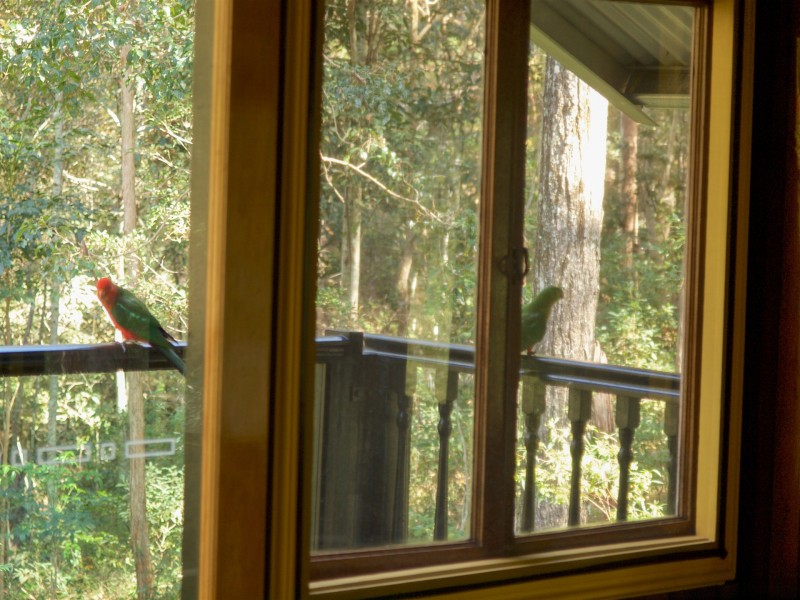 Upper Brookfield QLD 4069