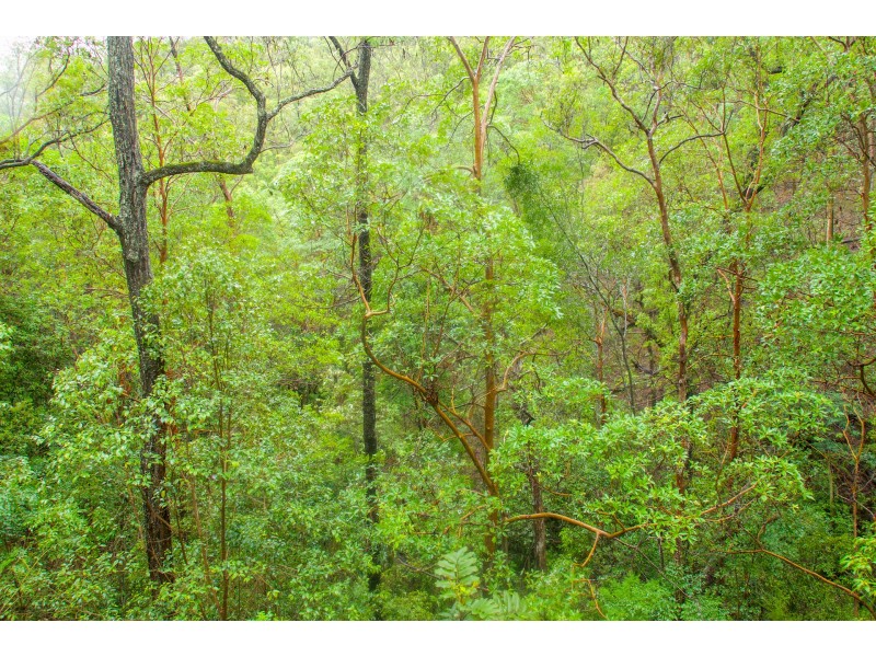 Upper Brookfield QLD 4069