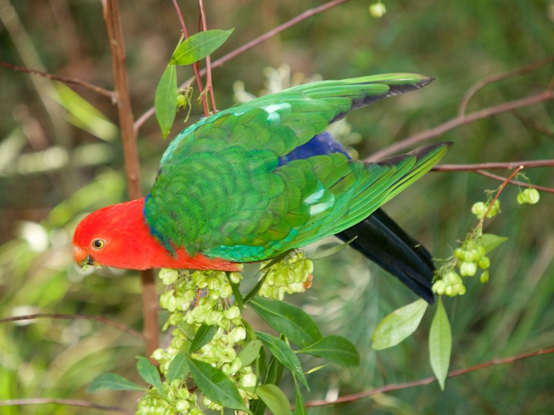 Upper Brookfield QLD 4069