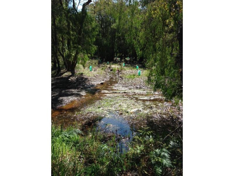 1 Hogan Place, Witchcliffe WA 6286