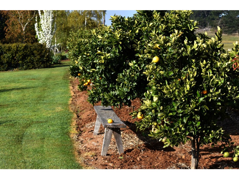 820 Old Sydney Road, Beveridge VIC 3753